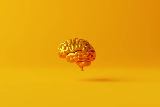 istock Yellow brain on an orange background. 1466380228