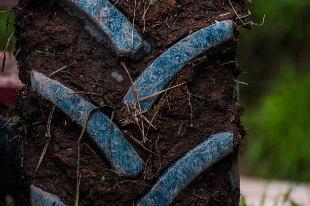 istock Tractor tire over potato field 1466381203