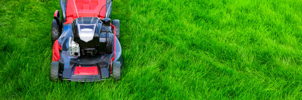 istock Lawn mower on green grass 1466383174