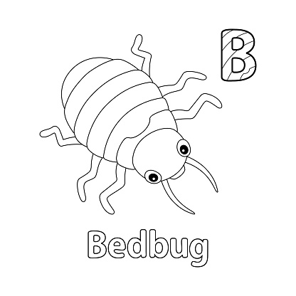 This ABC vector image shows a Bedbug Animal coloring page. It is isolated on a white background. Perfect for children and elementary school students to learn the alphabet and all its letters.
