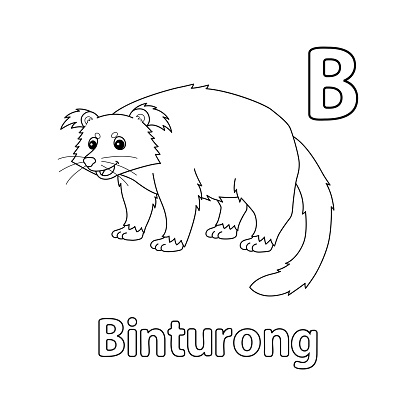 This ABC vector image shows a Binturong Animal coloring page. It is isolated on a white background. Perfect for children and elementary school students to learn the alphabet and all its letters.