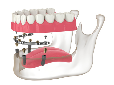 Gingiva anatomy. Dental 3D illustration