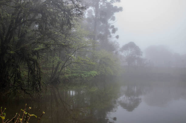 istock Morning mist over the lake 1466387488