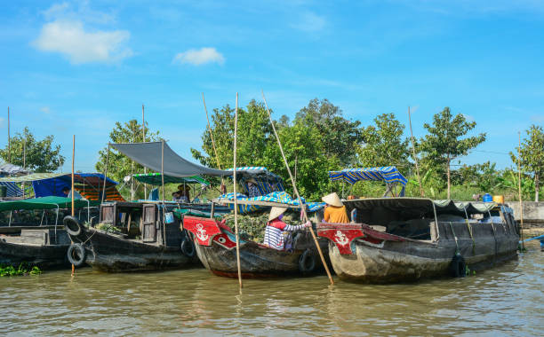 340+ Sóc Trăng Province Stock Photos, Pictures & RoyaltyFree Images