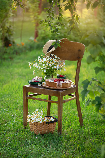 delicious cottage cheese and mixed berries cake or tart on chair in summer garden, rustic style, picnic outdoor, selective focus