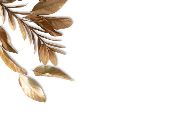 istock Gold tropical palm leaves Monstera on white background. Flat lay 1466389544