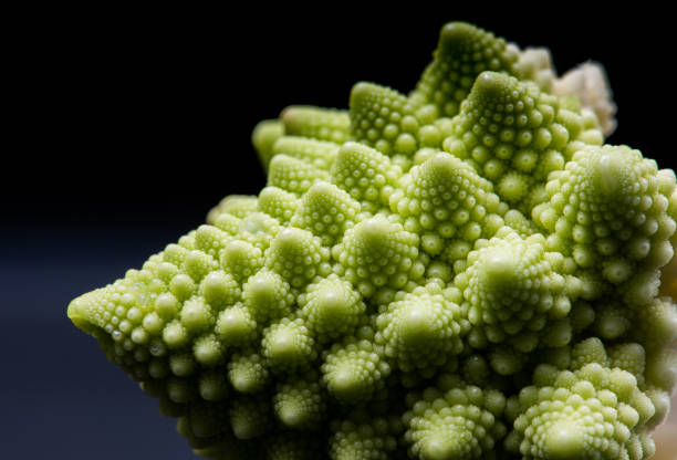 istock Closeup of Romanesco broccoli, 1466392307