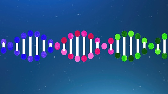 DNA - Molecular Structure,