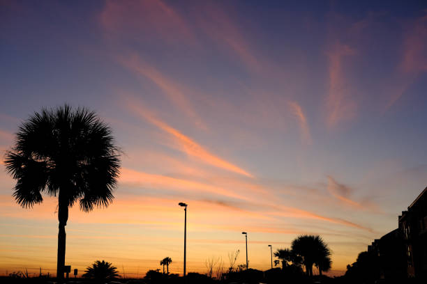 Palm trees silhouetted during a colorful sunset on Pensacola Beach, Florida