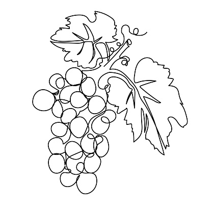 Single continuous line drawing of a bunch of grapes on a transparent background (can be place over any color)