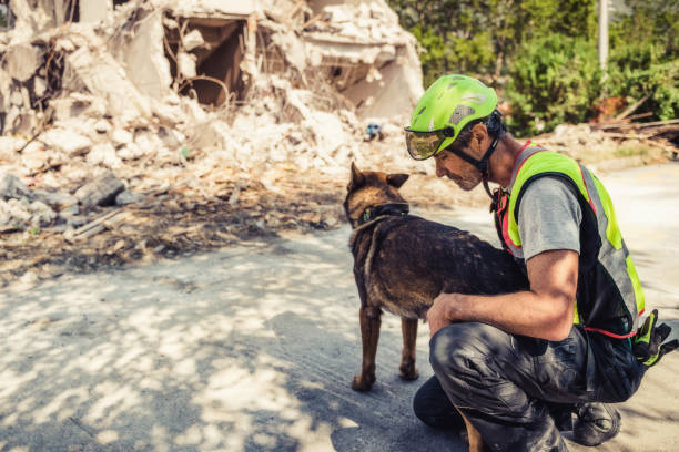 istock Rescuer search with help of rescue dog 1466400303