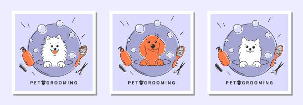 Grooming new 31 Dog pet grooming. Animal hair grooming salon logo, haircuts, bathing. Cartoon dogs and cat taking bath full of soapy suds.Vector illustration pomeranian dog taking a bath stock illustrations
