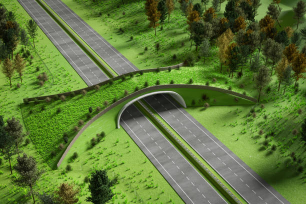 Aerial view of ecoduct or wildlife crossing 3D stock photo