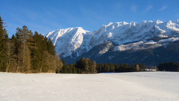 istock Mountain Grimming on a cold sunny day in winter 1466407299