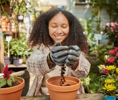 Black woman, garden and soil with plant and environment, happy gardener with dirt and nature, growth and sustainability. Spring, natural and gardening with earth, agriculture and compost for flowers.