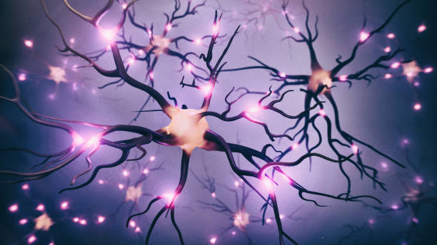 3D rendering of neural cell images stock photo