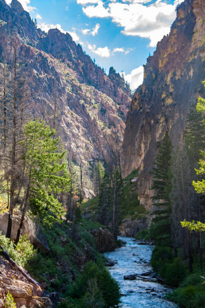 istock Frank Church River if No Return Wilderness in central Idaho 1466417158