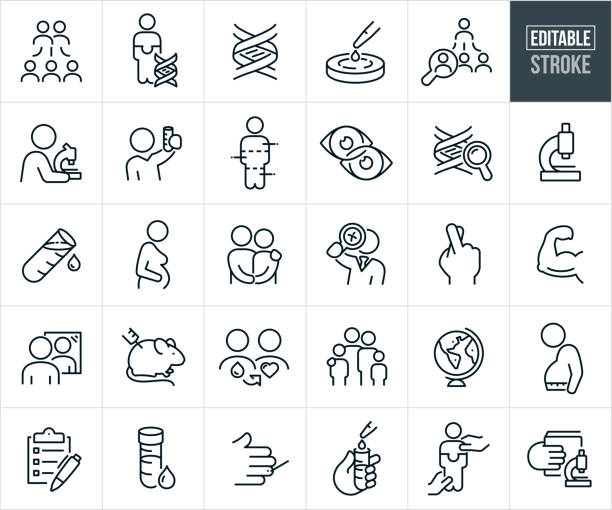 Family Genetics And Heredity Research Thin Line Icons - Editable Stroke A set of family genetics and research icons that include editable strokes or outlines using the EPS vector file. The icons include a family tree consisting of parents and offspring, person made from a jigsaw puzzle and DNA strand, DNA strand, genetic abnormality gene with magnifying glass, scientist doing genetic research, geneticist holding up test tube while doing genetic research, human genetics, inherited eye color, inherited genes and traits, scientific research, microscope, pregnant woman, married couple, geneticist using magnifying glass to locate DNA strand, family of four, arm flexing with good genetics, person looking at himself in the mirror, lab rat being injected, blood donation, fingers crossed, world genealogy, overweight person with bad genes, blood in test tube, finger prick and other related icons. genetics icon stock illustrations