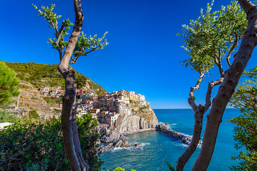 Manarola in Cinque Terre, Italy at summer. Popular tourist destination in Liguria coast.