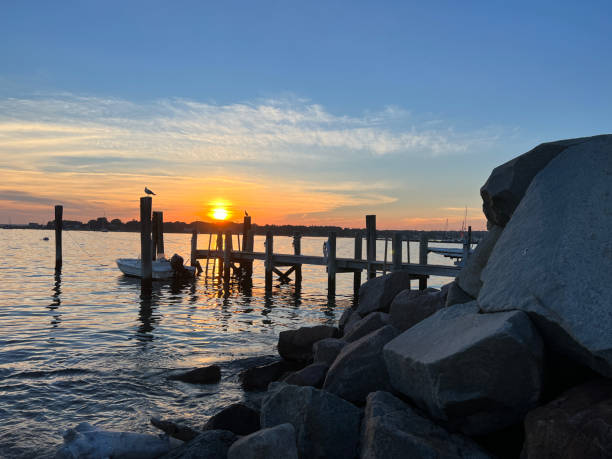 istock Birds Silhouetted against a Harbor Sunset 1466421794