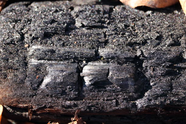 istock Closeup of burnt log in campfire 1466423619