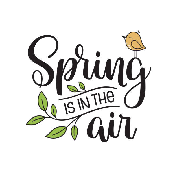 Spring is in the air Spring is in the air hand lettering composition with new leaves and cute little bird spring stock illustrations