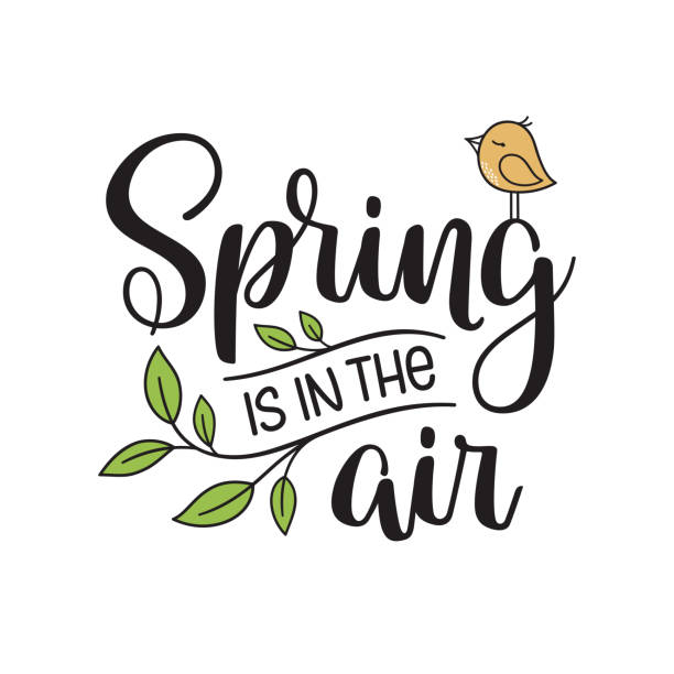 Spring is in the air Spring is in the air hand lettering composition with new leaves and cute little bird spring banner stock illustrations