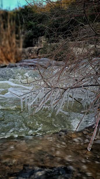 istock Frozen plants by the river in winter 02 1466433076
