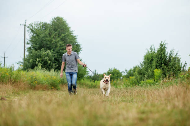 homem adulto jovem com seu cão corre na natureza. corrida ao ar livre. conceito de animal de estimação. - men jogging running sports training - fotografias e filmes do acervo