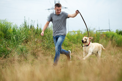 Pet concept. Young adult man with his dog runs in nature. Outdoor running.