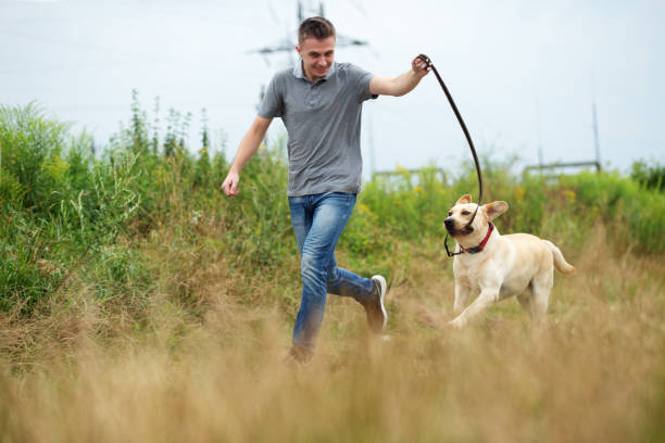 homem adulto jovem com seu cão corre na natureza. corrida ao ar livre. conceito de animal de estimação. - men jogging running sports training - fotografias e filmes do acervo