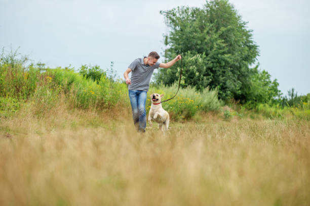 homem adulto jovem com seu cão corre na natureza. corrida ao ar livre. conceito de animal de estimação. - men jogging running sports training - fotografias e filmes do acervo