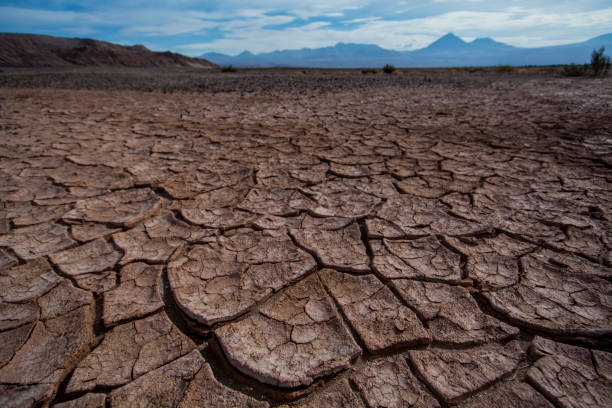 Cracked earth in the Atacama desert in Chile