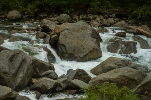 istock Rushing Water In the South Fork Of The Kings River 1466437317