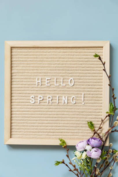 istock Letter Board with quote HELLO SPRING, with green branches and flowers on a blue background, minimalism style composition. Springtime welcome concept. View from above. 1466444277