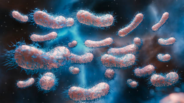 Enterobacterias Gram negativas Proteobacteria, bacteria such as salmonella, escherichia coli, yersinia pestis, klebsiella. 3D rendering Enterobacterias Gram negativas Proteobacteria, bacteria such as salmonella, escherichia coli, yersinia pestis, klebsiella. 3D rendering human cell animal cell healthcare and medicine abstract stock pictures, royalty-free photos & images