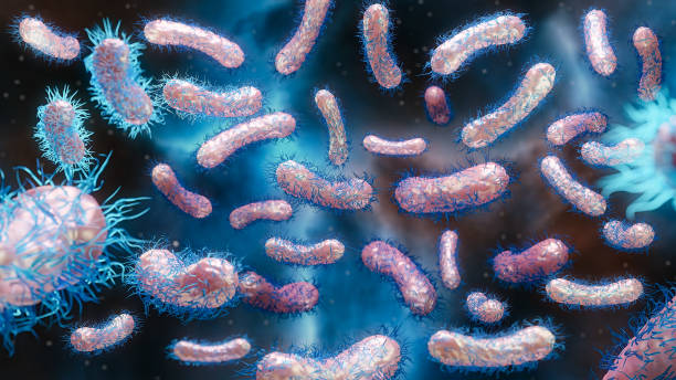 enterobatteri gram negativas proteobacteria, batteri come salmonella, escherichia coli, yersinia pestis, klebsiella. rendering 3d - colorazione di gram foto e immagini stock