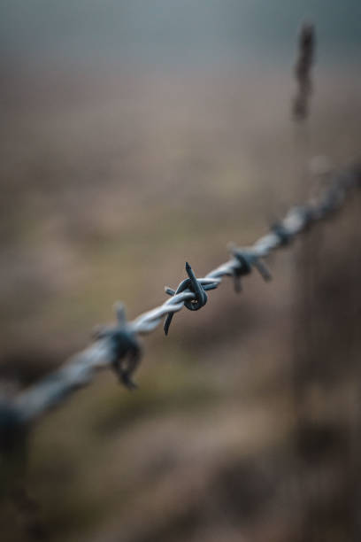 istock Close-up of barbed wire 1466451645
