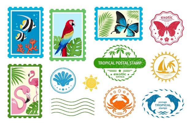 Postal stamps and postmarks. Set of tropical symbols and signs Postal stamps and postmarks. Set of various postmarks and postage stamps exotic birds, tropical palm and sea fish . Mail signs with texture. Vacation, travel, tourism, sea concept. Isolated. Vector stamp collecting stock illustrations