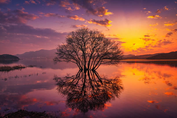 the sunset of the lake