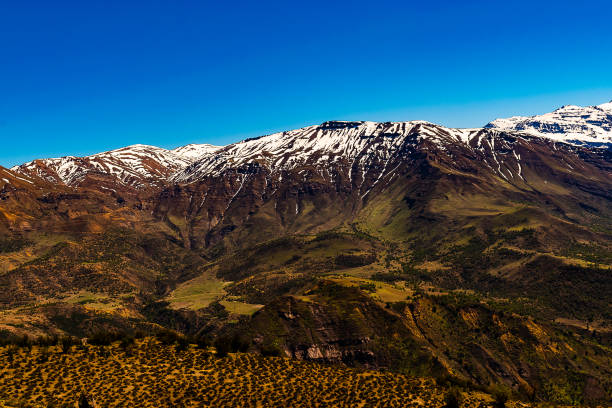 istock mountain landscape covered by spring vegetation in spring day 1466459623