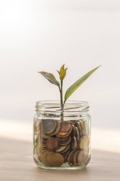 istock glass jar with coins and plant sprout 1466460777