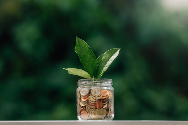 istock pot with coins and young plant sprouting 1466460820