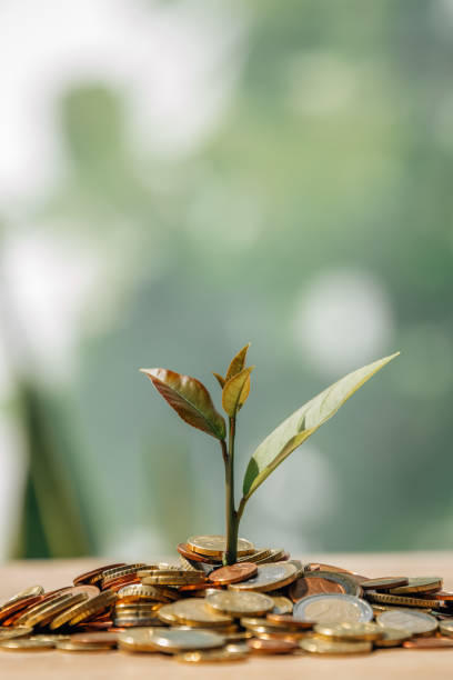 istock coins piled with young sprout of plant 1466460840