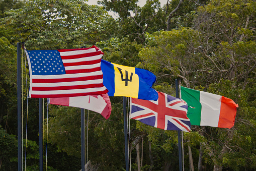 Flag of Barbados, UK, USA, Italia, Canada