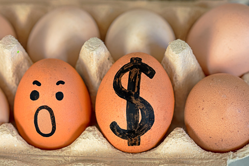 simple brown eggs with a painted dollar and a frightened face in an egg container. Economic crisis, rise in price. horizontal