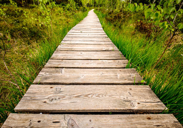 istock old wooden footpath at a meadow 1466471660