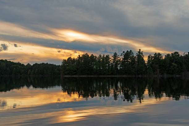 Silhouettes and Light Patches in the North Woods on Clark Lake in the Sylvania Wilderness in Michigan