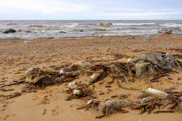 le filet de pêche rejeté échoué sur la plage met en danger la vie marine. lessivé de la mer pendant une tempête. déchets sur les rives de la mer baltique - fishing net netting nobody color image photos et images de collection