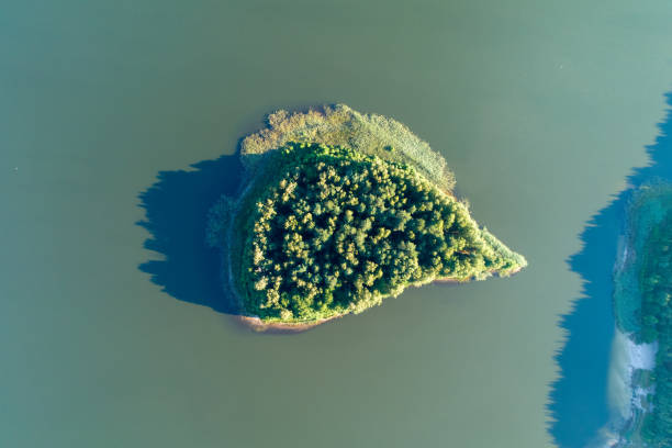 An island in a lake full of trees. A green island in the middle of a huge body of water. stock photo